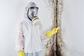 Why You Should Choose Our Mold Remediation Services in Edinburg, IL